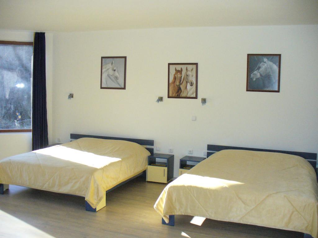 Guest House Alfa Daniel Balkanets  Habitación foto