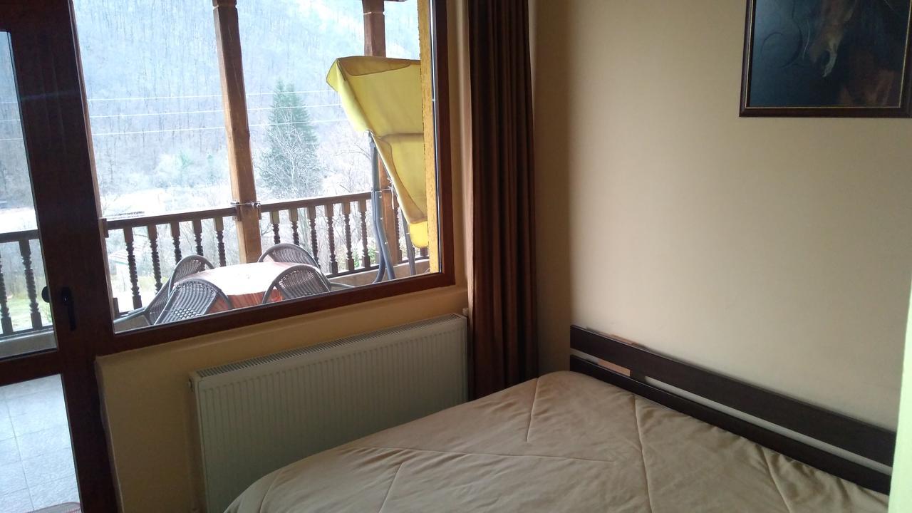 Guest House Alfa Daniel Balkanets  Exterior foto