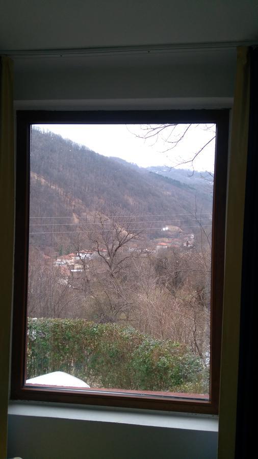 Guest House Alfa Daniel Balkanets  Exterior foto